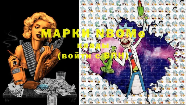 гашик Вязьма