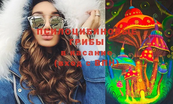 твердый Вязники