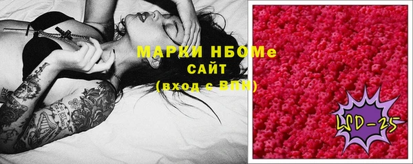 твердый Горняк