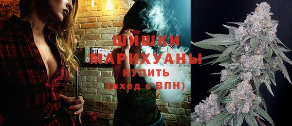 гашик Вязьма