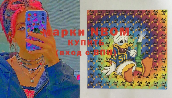 гашик Вязьма