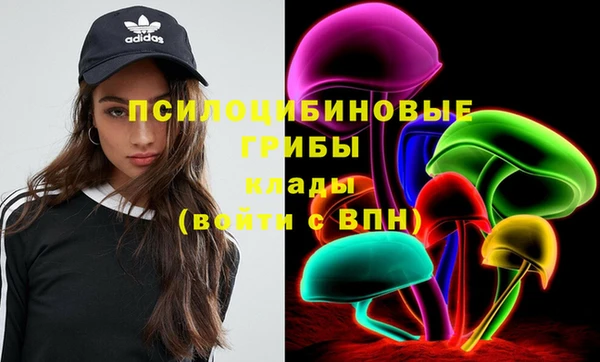 твердый Горняк