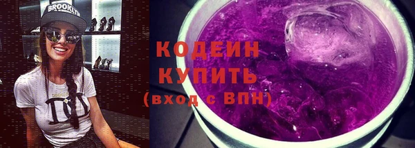 шишки Горно-Алтайск